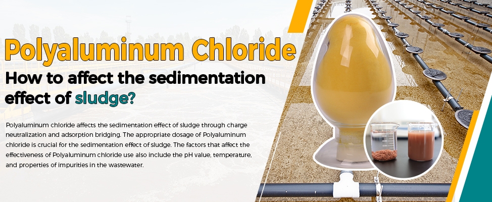 PAC如何影响污泥沉降效果？
