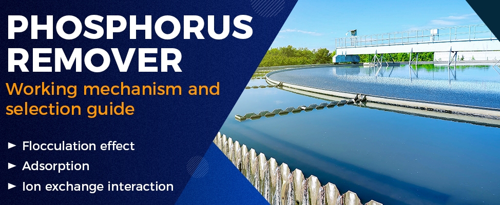 Working Mechanism and Selection Guide of Phosphorus Removal Agents