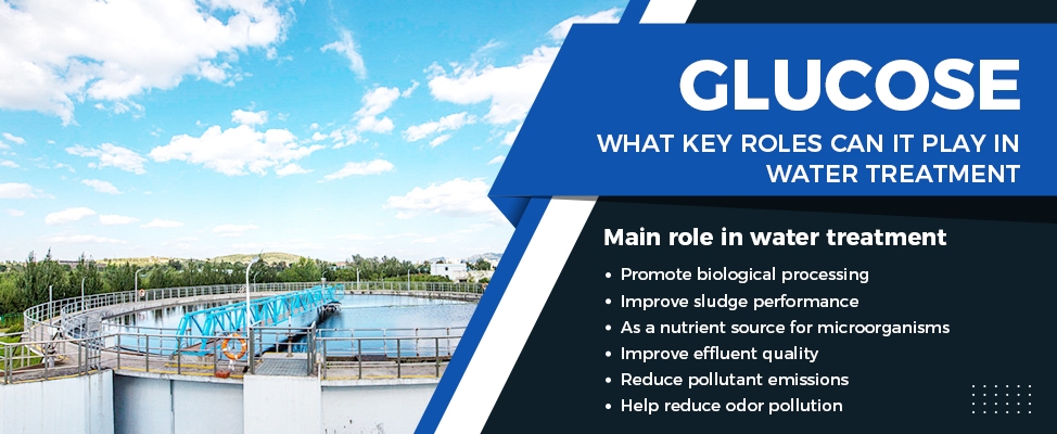 Key Roles of Glucose in Water Treatment