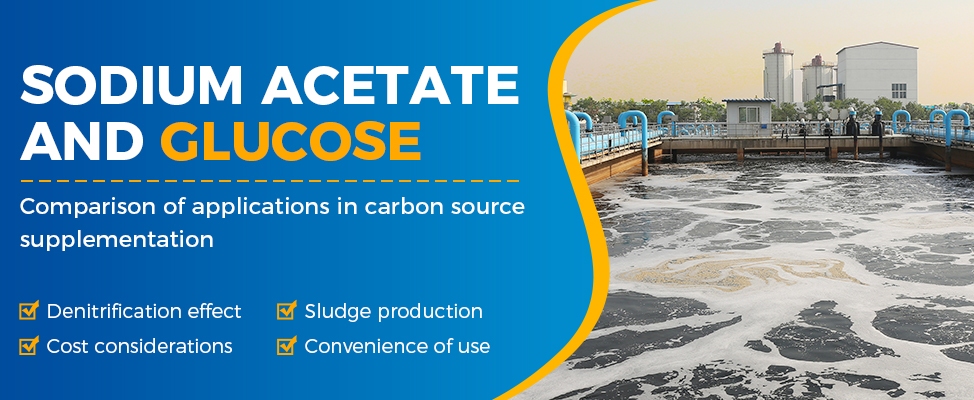 Comparison of Sodium Acetate and Glucose in Carbon Source Supplementation for Wastewater Treatment