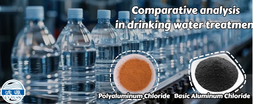 Comparative Analysis of PAC and BAC in Drinking Water Treatment